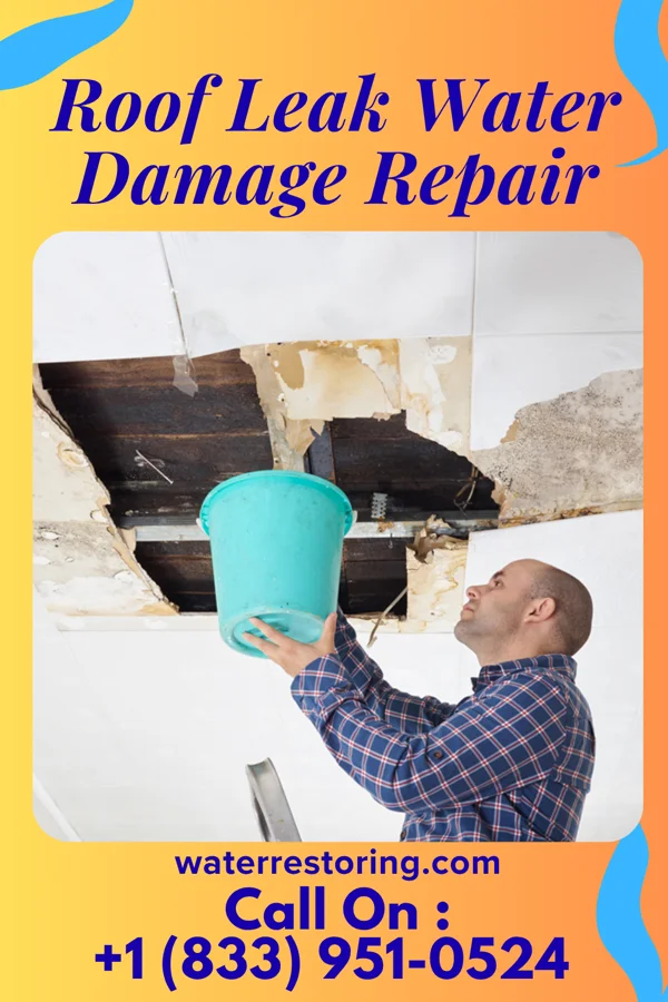 Roof Leak Water Damage Repair in Lemoyne, PA