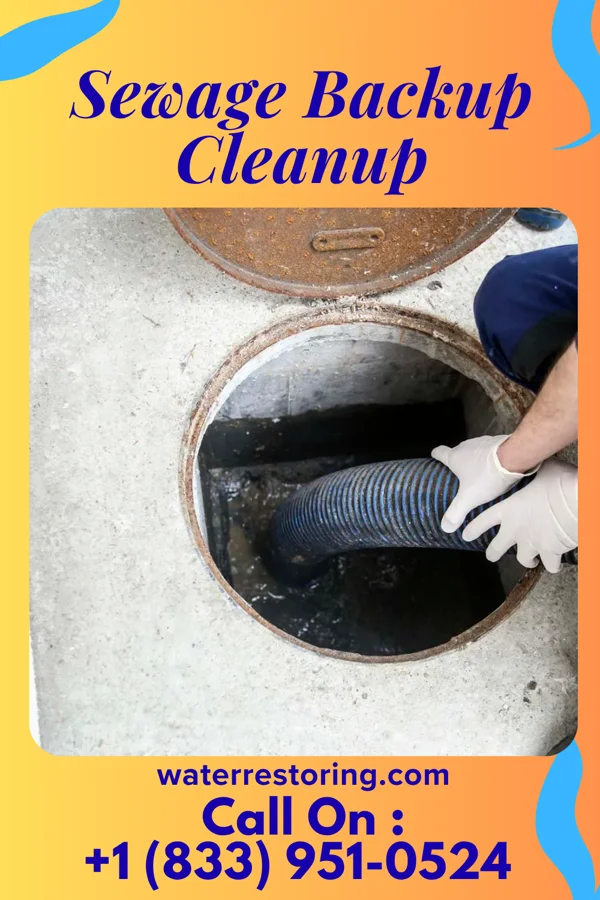 Sewage Backup Cleanup in Lemoyne, PA